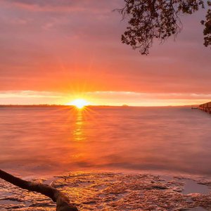 大动物和外国洋妞操逼
