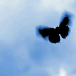 免费看裸体🔞🔞🔞吃胸
