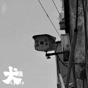 小逗逗在线观看免费版全集
