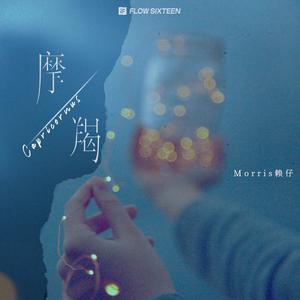 zzjl中国zz女人18高清
