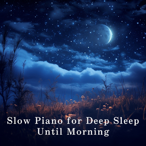 91av视频在线观看
